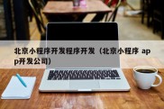 北京小程序开发程序开发（北京小程序 app开发公司）